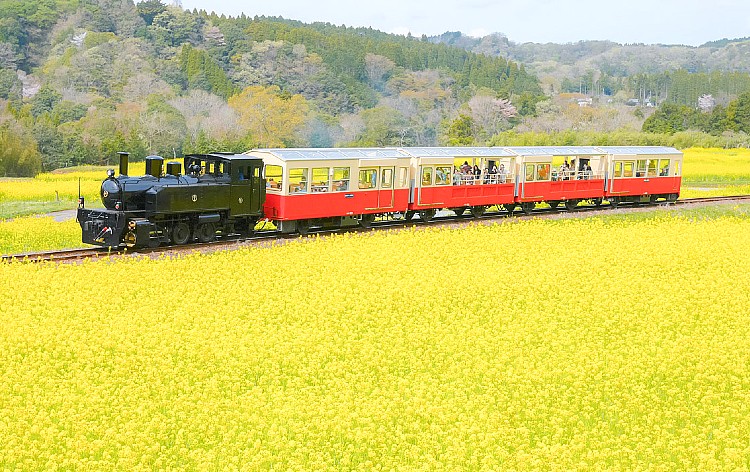 小湊鐵道 里山トロッコ列車
