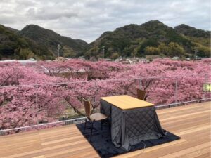 河津桜まつり