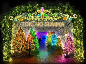 ひかりのすみか